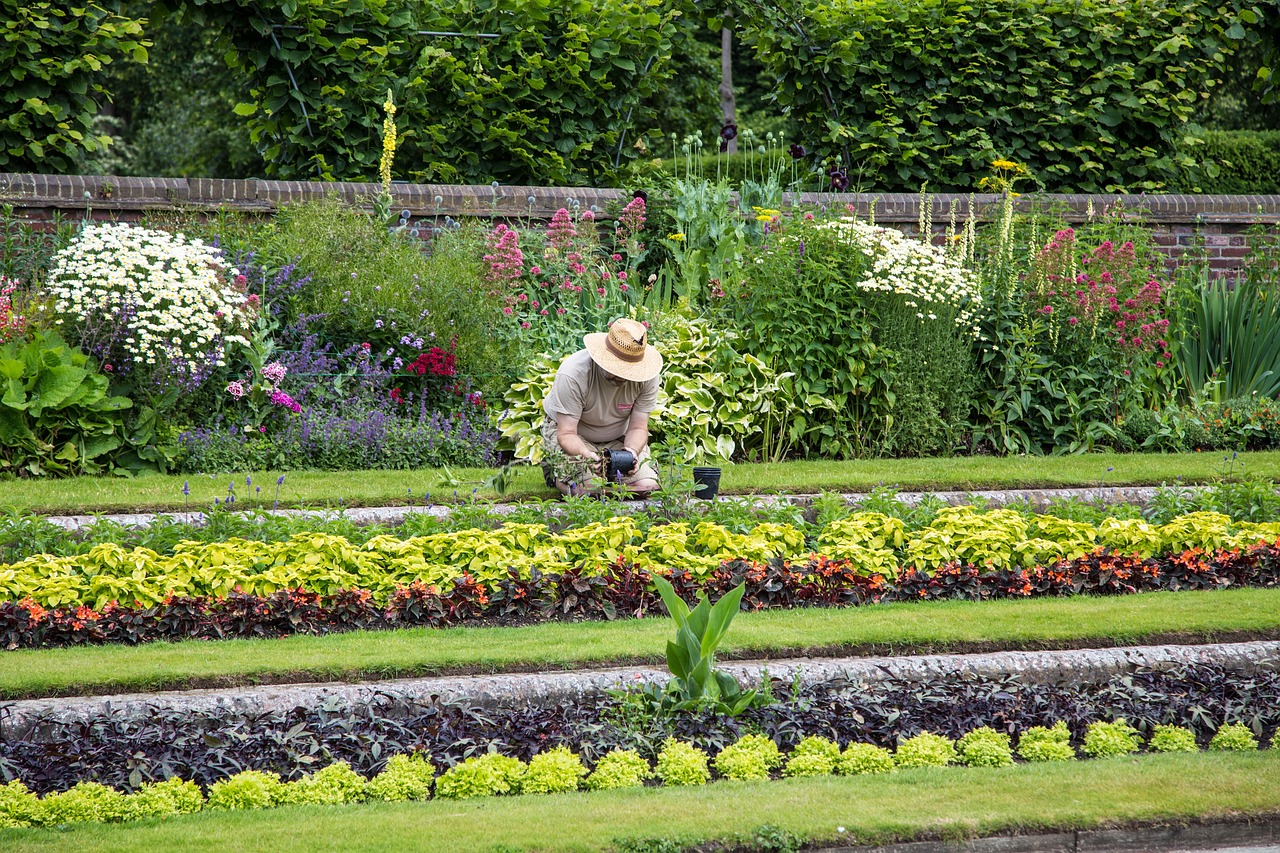 Les jardiniers professionnels utilisent cette méthode pour un jardin impeccable toute l’année