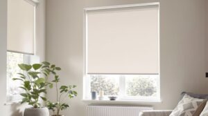 comment occulter une fenêtre sans volet