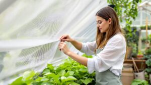 filet d'ombrage serre